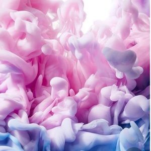 Meet your Posher, Lael